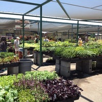 Green Arrow Nursery North Hills East 4 Tips From 160 Green Arrow Nursery North Hills East 4 Tips From 160