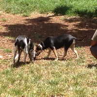 Photo taken at Hawaiian Humane Society Dog Park by 👑 @yanceyu . on 5/28/2012