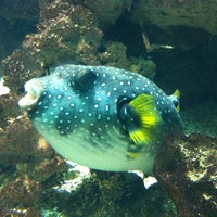Photo taken at Aquarium du Grand Lyon by Fannette C. on 4/8/2012