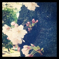 Photo taken at 目黒川田道街かど公園 by BURNRING on 4/4/2012