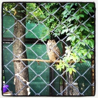 Photo taken at Зоопарк by Anton M. on 7/22/2012