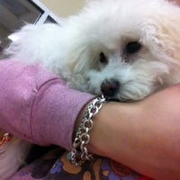Photo taken at Petco by Maddy N. on 4/15/2012