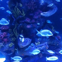 Foto tirada no(a) Antalya Aquarium por ®üy@ . em 8/26/2012