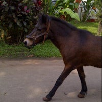 Photo taken at Arthayasa Stables and Country Club by Adijoyo P. on 4/22/2012