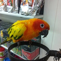 Photo taken at Birds Pet Shop by Luiz L. on 1/11/2012
