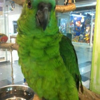 Photo taken at Birds Pet Shop by Luiz L. on 7/11/2012