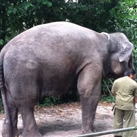 Photo taken at Elephant Ride @ S&amp;#39;pore Zoo by Muthir K. on 7/20/2011