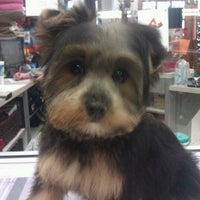 Photo taken at The Pet Station Salon And Boutique by Cassie H. on 1/7/2012