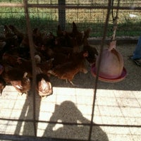 Photo taken at Rays Livestock Auction by Mrs 3. on 7/31/2012