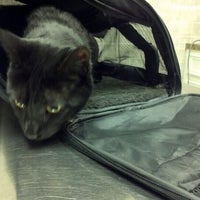 Photo taken at North Loop Pet Clinic by M. H. on 1/20/2012