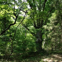 Foto diambil di Reedy Creek Nature Center oleh JerryLynn pada 5/7/2012