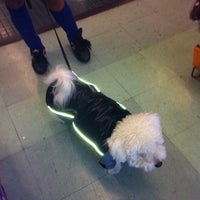 Petland Manhattan 2025 - Main Image