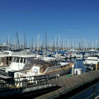 schooner or later schooner or later