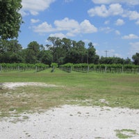 รูปภาพถ่ายที่ Rosa Fiorelli Winery โดย Jennifer R. เมื่อ 6/5/2012