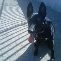 Photo taken at Downtown LA Arts District Dog Park by Shannon O. on 6/11/2012