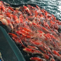 Photo taken at Thai-Nippon Fish Farm by kongto k. on 4/22/2012