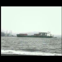 三保真崎海水浴場 清水区三保 三保真崎海水浴場 清水区三保