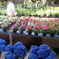 Photo taken at Flower&amp;#39;s Village by Gian Marco C. on 5/31/2012