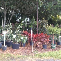 Pells Citrus And Nursery Os Fl Photo Taken At Pells Citrus And Nursery By Toni S On 4 15