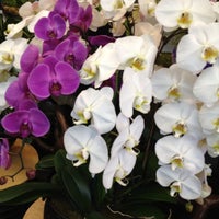 Foto diambil di Lee&amp;#39;s Orchid oleh Tony pada 6/2/2012