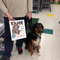 Pet Supplies Plus Ballwin - The O Guide