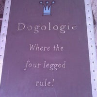 Photo taken at Dogologie by Ricardo G. on 2/23/2012