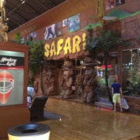 safari pet store near me
