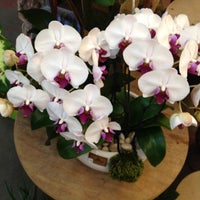 Das Foto wurde bei Lee&amp;#39;s Orchid von Tony am 6/2/2012 aufgenommen