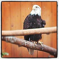 Photo taken at Tracy Aviary by Craig F. on 7/30/2012