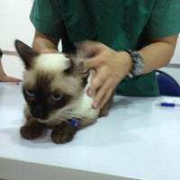 Photo taken at Clinic For Pets by Aza S. on 5/1/2012