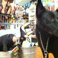 Photo taken at Dog-A-Holics Boutique by Jesus M. on 9/7/2012