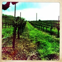 Photo taken at Terra d&#39;Oro Winery by Avinash S. on 3/2/2012