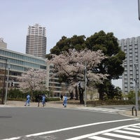 芝浦工業大学 豊洲図書館 豊洲 0個のtips