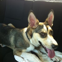 รูปภาพถ่ายที่ DogBoy&amp;#39;s Dog Ranch โดย Cale J. เมื่อ 7/23/2012