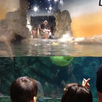 Photo taken at Sea Otter Exhibit by Sine W. on 6/16/2012