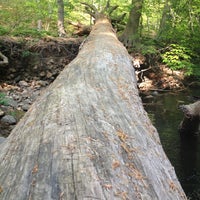 Photo taken at RCP/Soapstone Trail by Carl G. on 4/16/2012