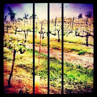 Photo taken at Basignani Winery, LTD by Chad W. on 5/14/2012