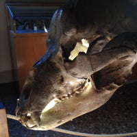 Foto scattata a Museo di Storia Naturale, Sezione di Geologia e Paleontologia da Stefano D. il 8/27/2012