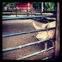 Foto tomada en Woodstock Farm Animal Sanctuary  por Yawen C. el 5/24/2012
