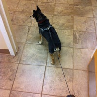 Photo taken at Buckhead Animal Clinic by Star on 5/10/2012