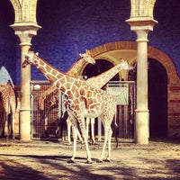 3/17/2012 tarihinde Matasziyaretçi tarafından Zoo Berlin'de çekilen fotoğraf