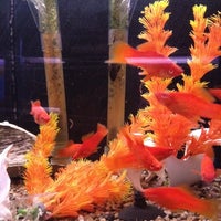 Photo taken at Pet Central by Rachelle P. on 3/7/2012