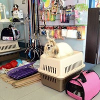 Photos At Cebu Veterinary Doctors Veterinarian