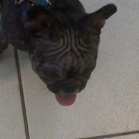 Photo taken at Clinical Vet by NetPremium Corretora de S. on 3/3/2012