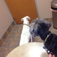 Photo taken at N Buckeye Animal Hospital by DeAnn F. on 9/10/2012