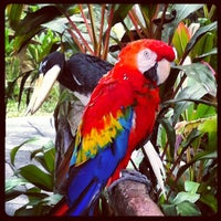 Kuala Lumpur Bird Park  Park in Segambut