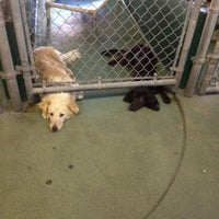 Photo taken at Miami Dade Animal Services by Steven P. on 2/15/2012