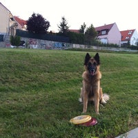 Photo taken at Dogfrisbee Place by Adley on 8/8/2012
