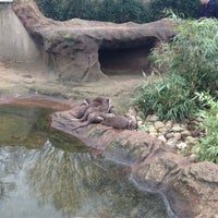 Photo taken at Otter Enclosure by Adam P. on 2/29/2012