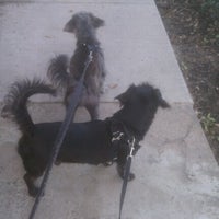Photo taken at Chateaux Dog Park by Avigdor - Realtor M. on 6/21/2012